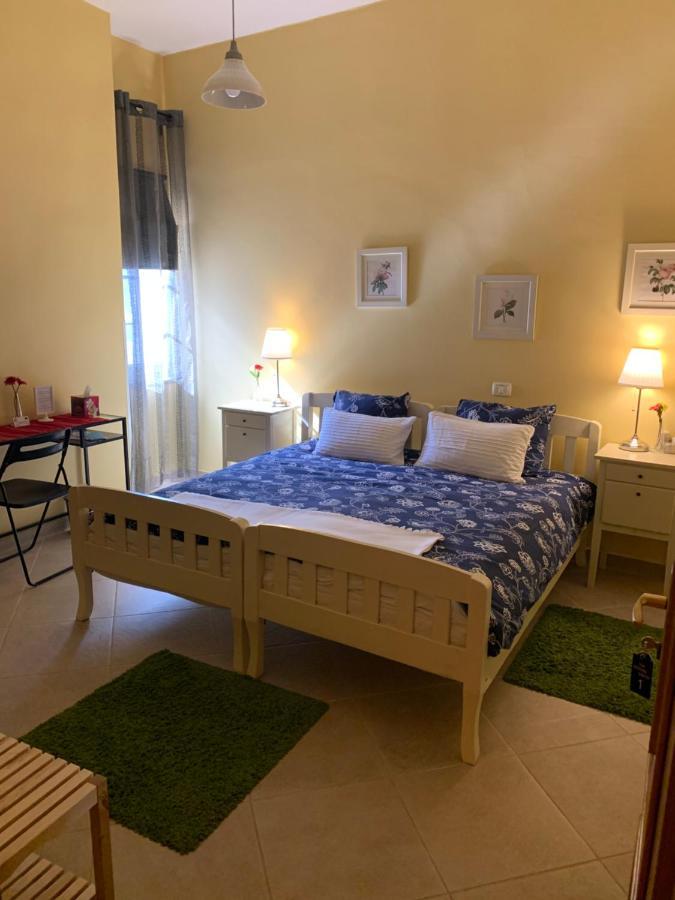 Stephen Center Bed & Breakfast Tirana